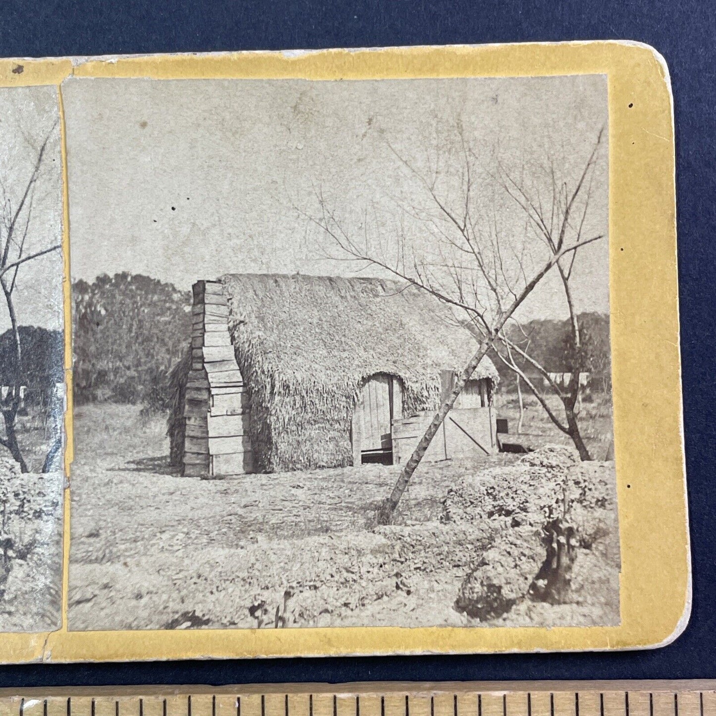 Primus Mitchell Thatched Cabin Stereoview Cumberland Island Georgia c1860 Y049