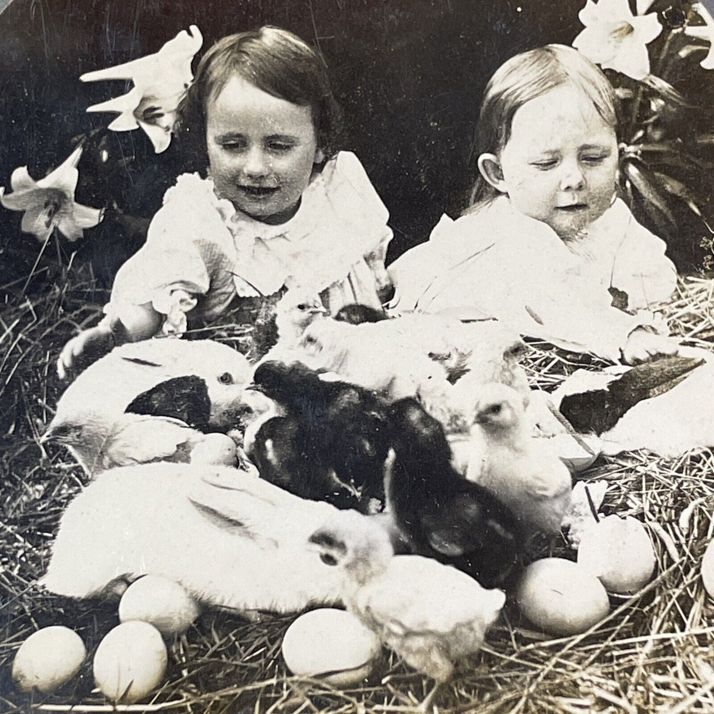 Easter Bunnies Laying Eggs Stereoview Happy Children Antique c1907 X2761