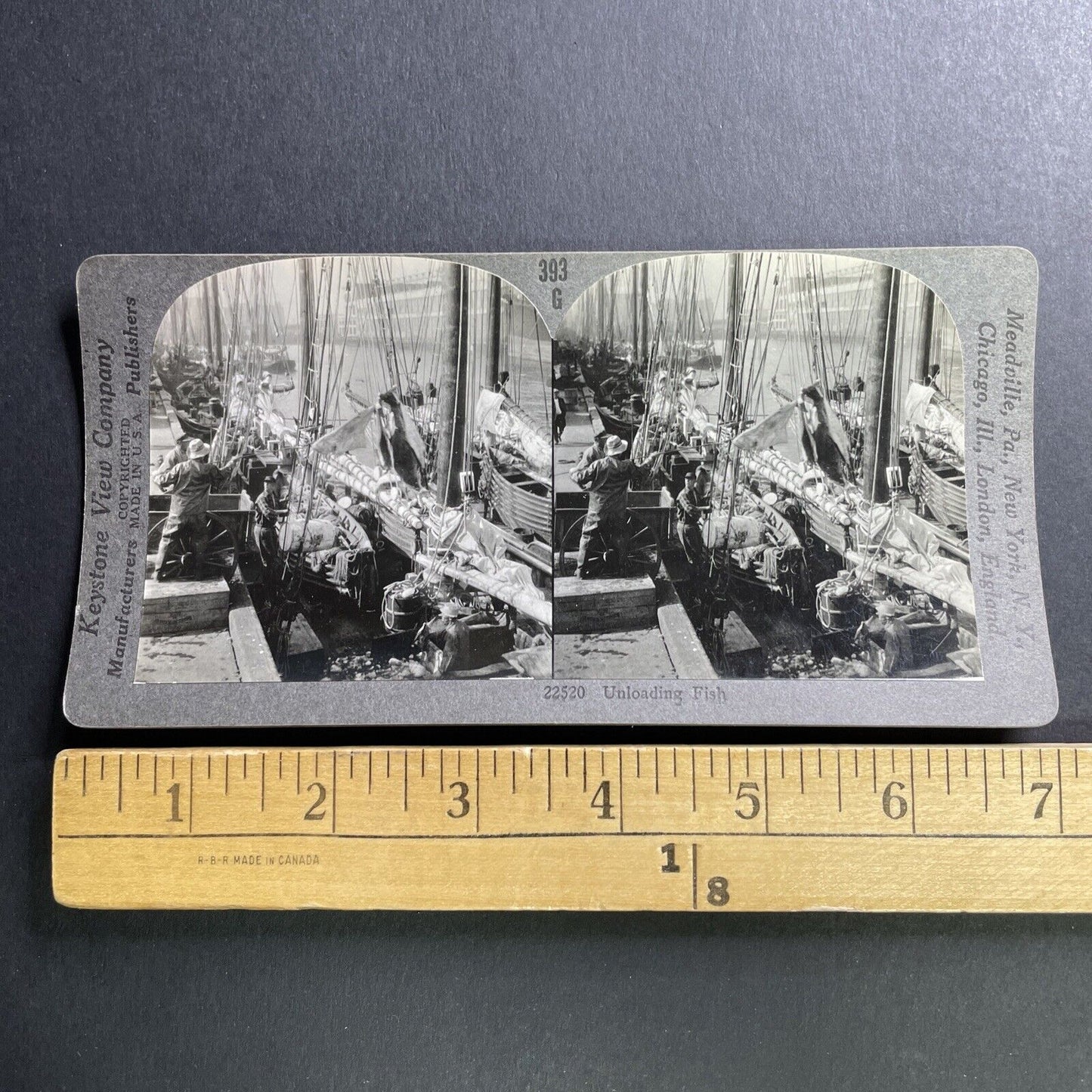 Antique 1906 Unloading Fish In Boston Harbor Stereoview Photo Card P1610