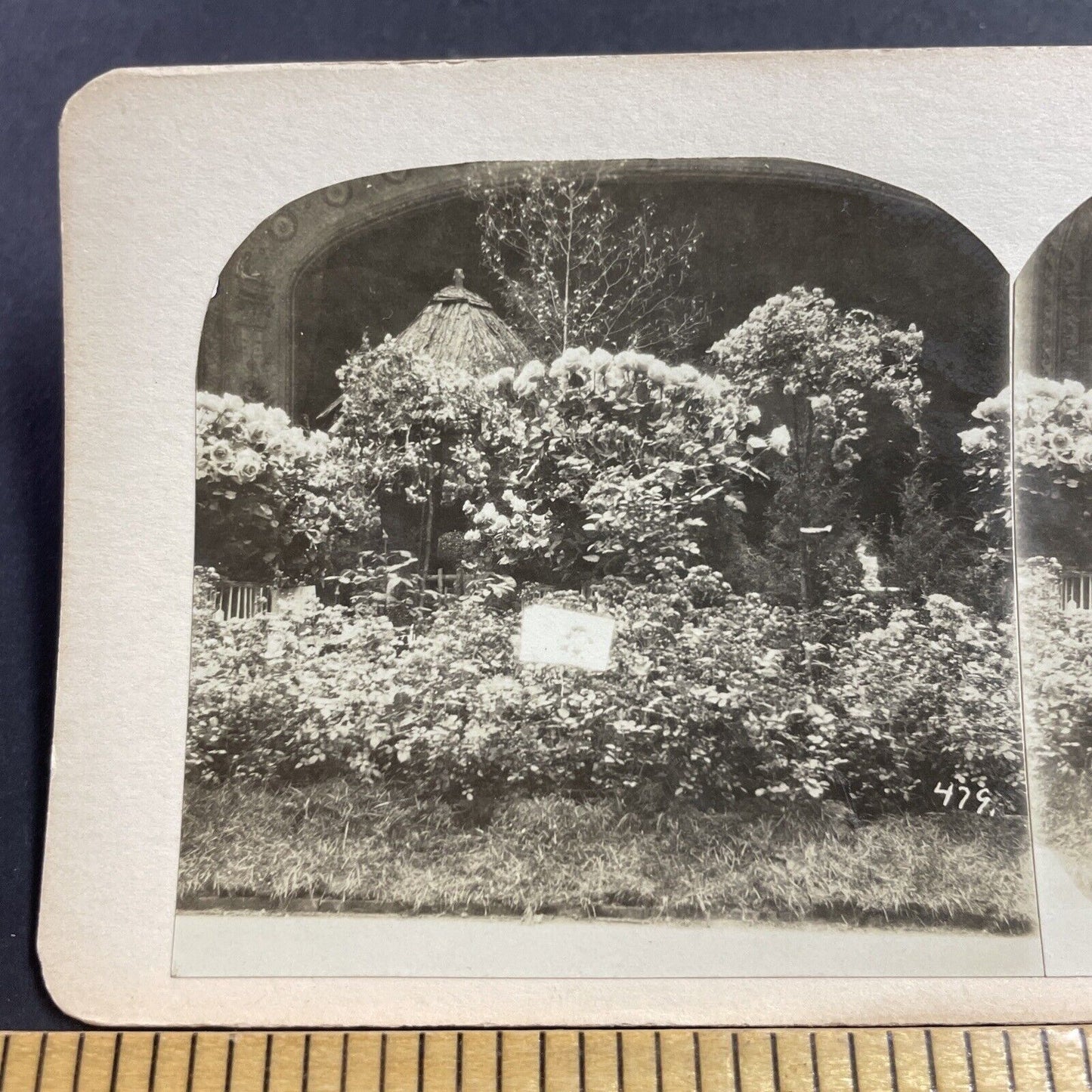 Antique 1870s Madison Square Garden Floral Show Stereoview Photo Card P856-09