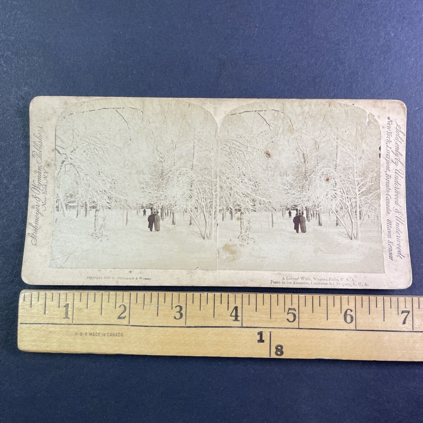 Winter Walk Through Prospect Park Stereoview Niagara Falls Antique c1893 Y2752