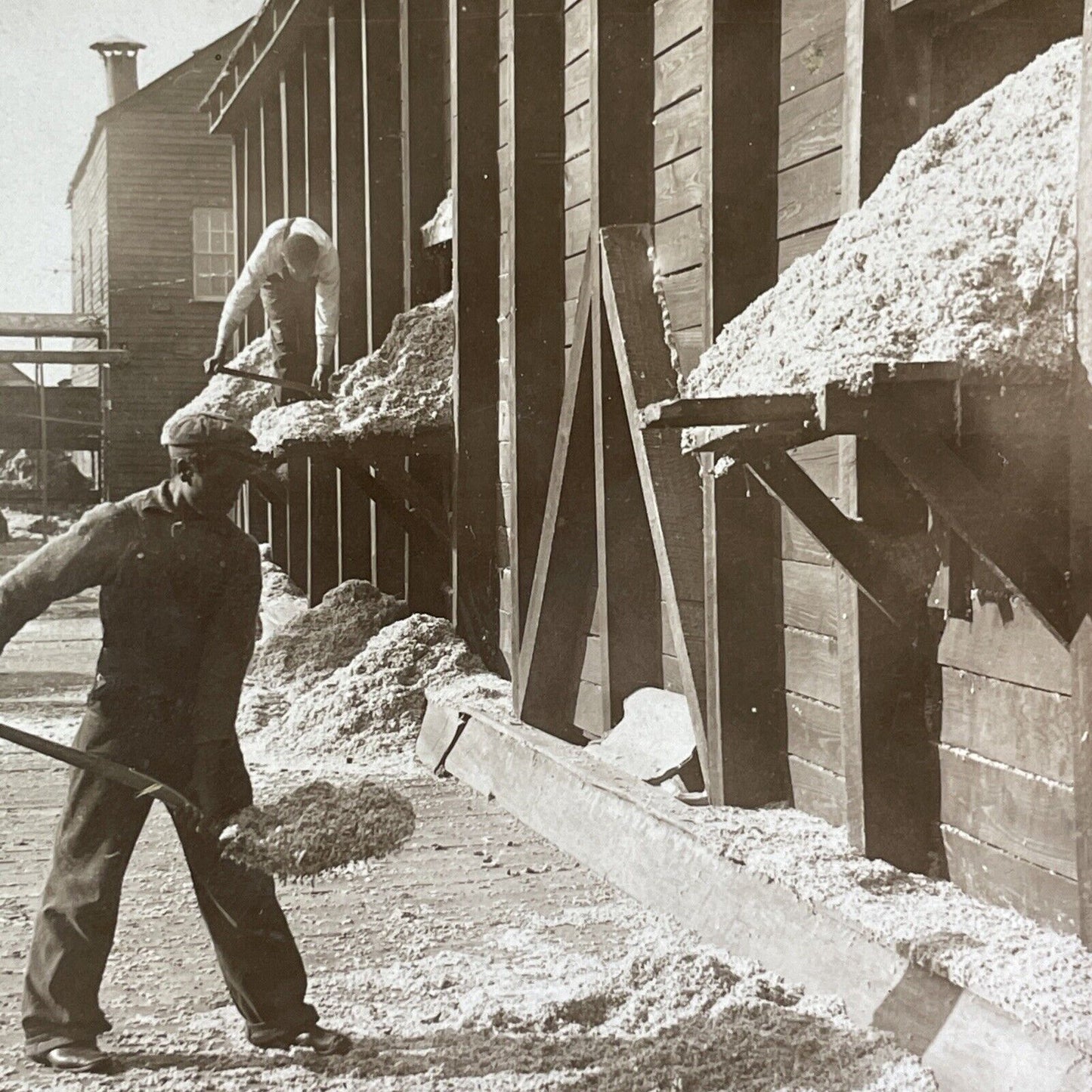 Teenage Cotton Mill Worker Shovels Seed Stereoview Georgia Antique c1909 X2609