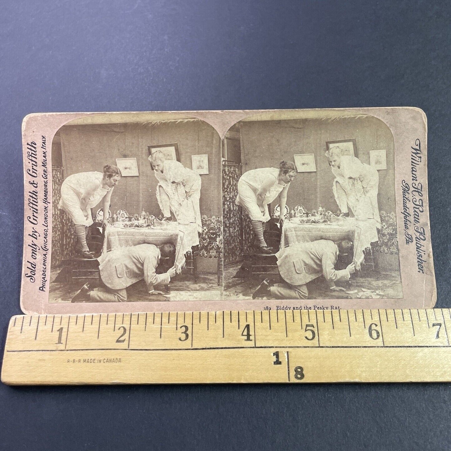 Antique 1890s Women Hide On Table From A Rat Stereoview Photo Card P3448