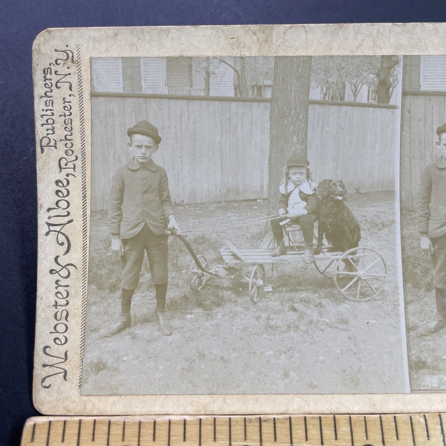 Antique 1870s Boy Pulls A Dog On A Wagon Cart Stereoview Photo Card P4111