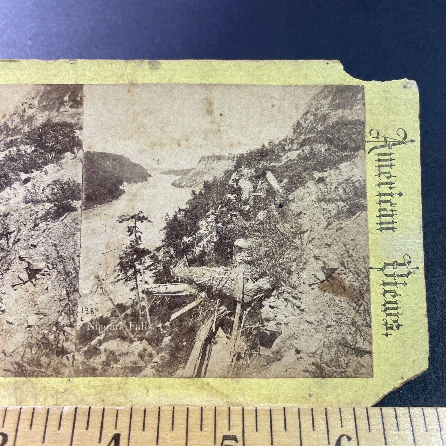 Antique 1870s Niagara Falls Gorge Landside New York  Stereoview Photo Card P3301