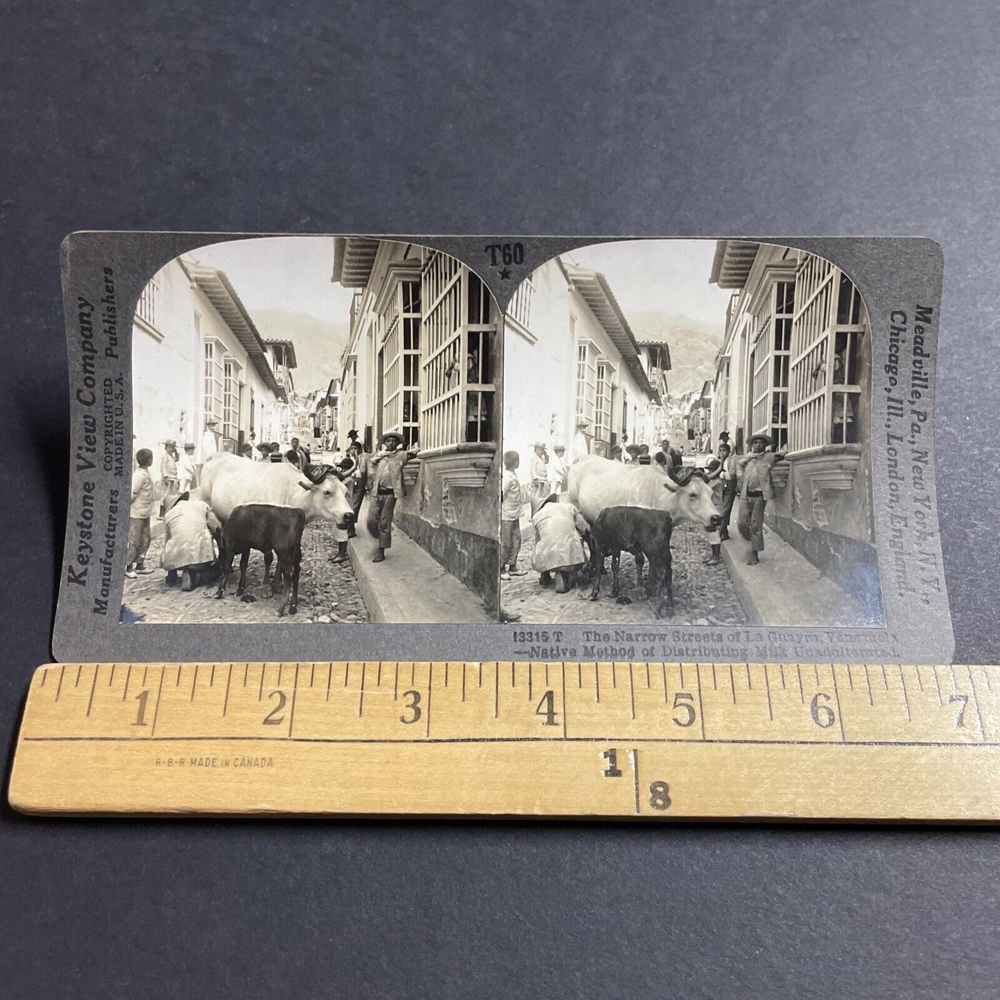 Antique 1910s Milking A Cow In Venezuela City Streets Stereoview Photo Card 5120