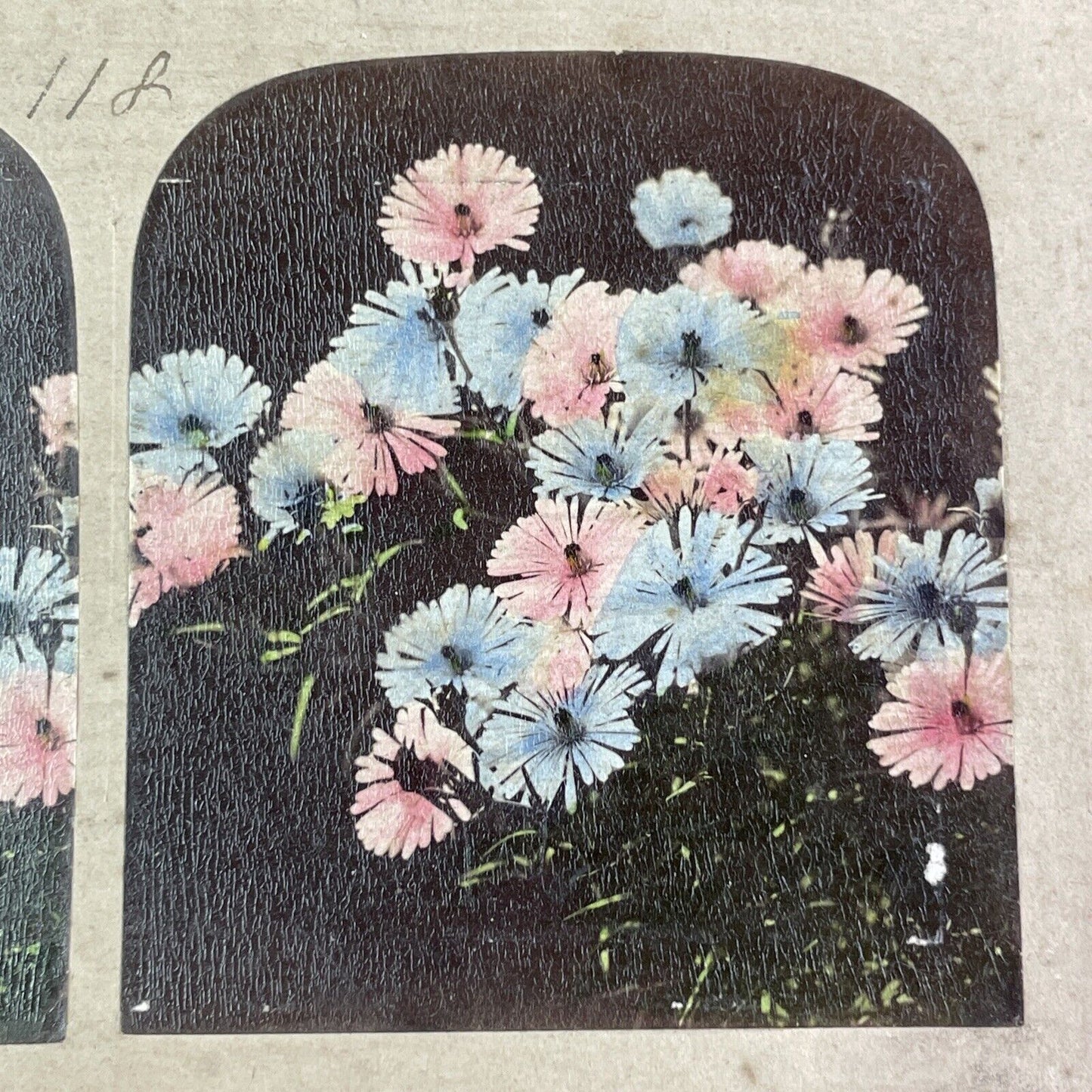 Hand-Colored Flowers Stereoview attributed to James Robinson Antique c1859 Y1383