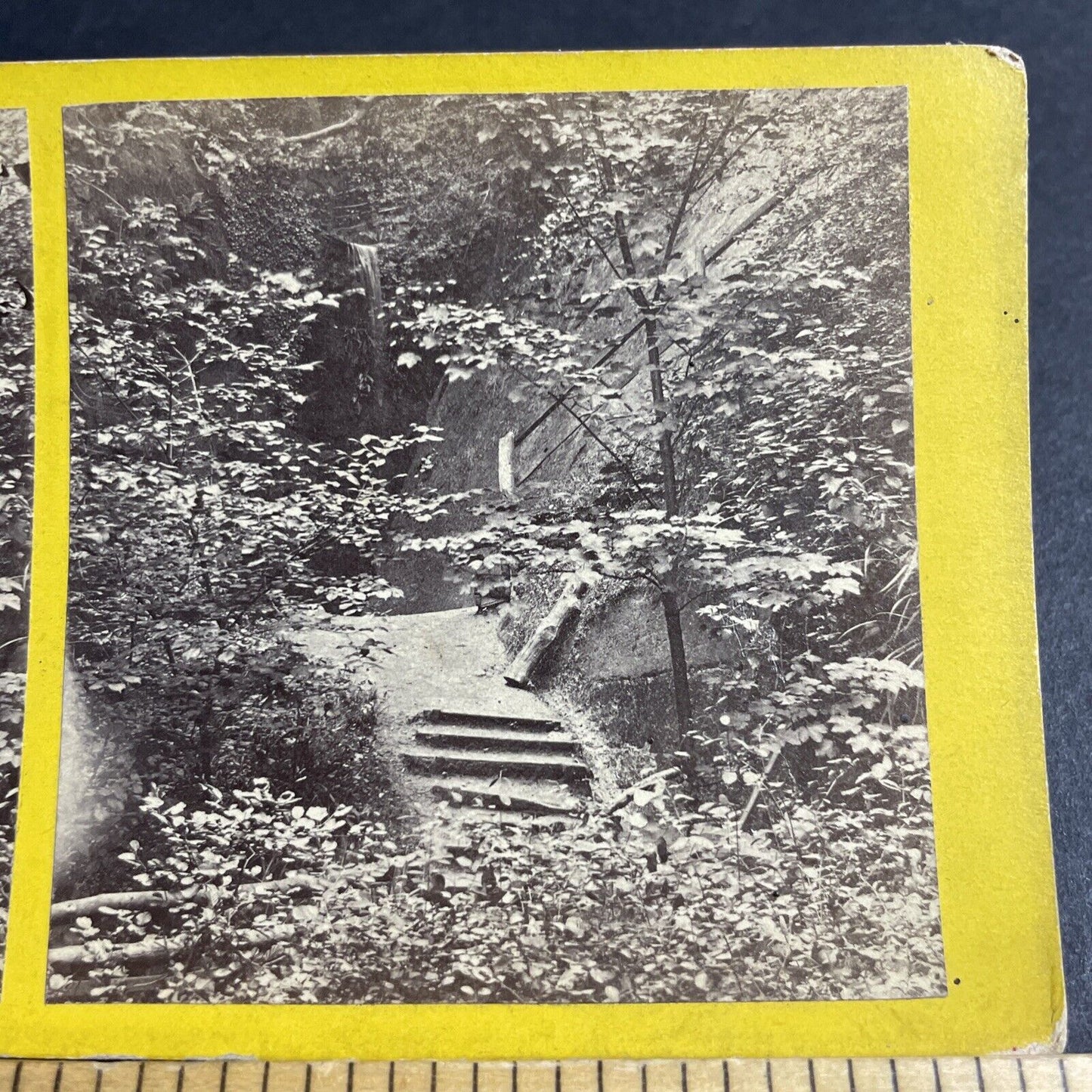 Antique 1870s Shanklin Chine Isle Of Wight UK Stereoview Photo Card P4384