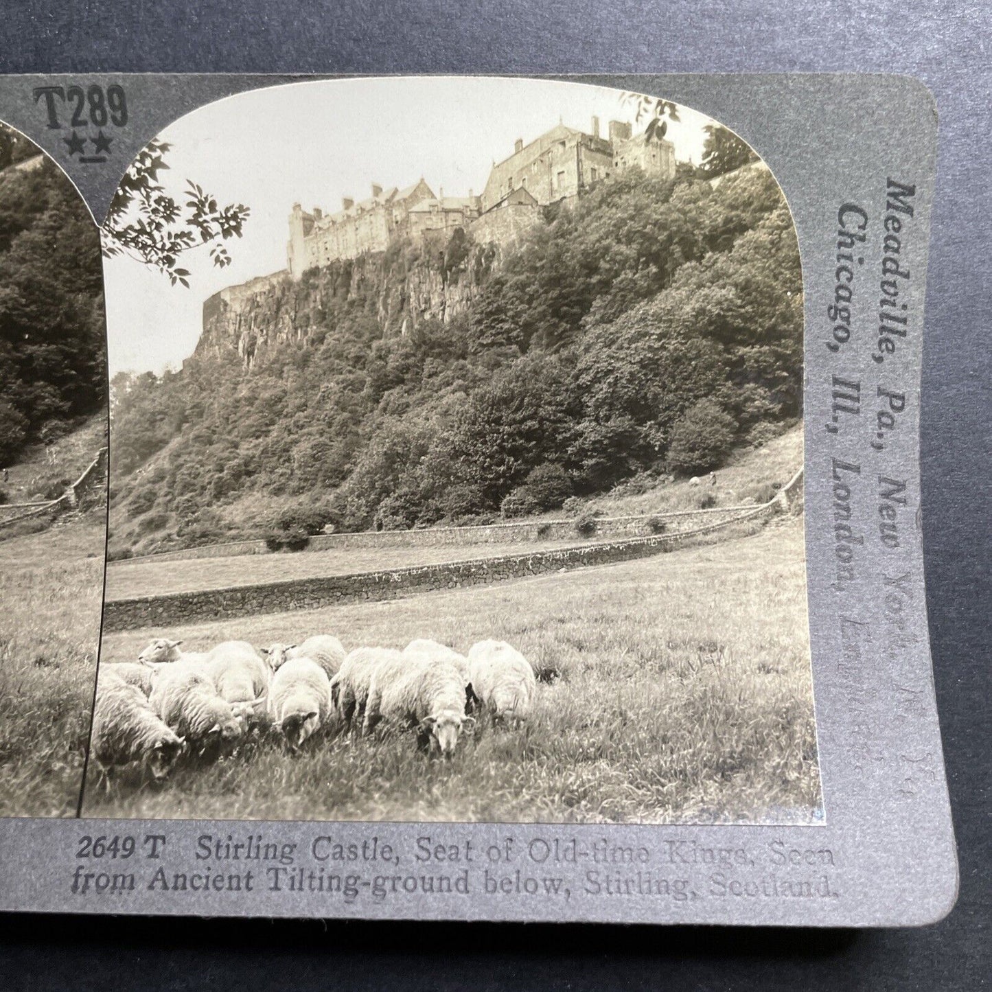 Antique 1918 Sheep Graze At Stirling Castle Scotland Stereoview Photo Card P1364