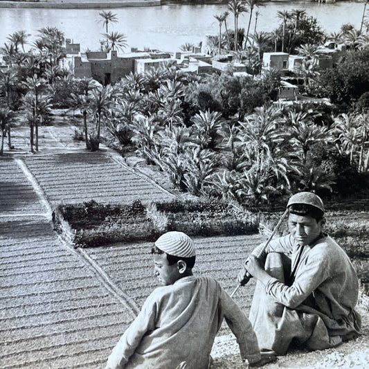 Antique 1910s Children Playing In Central Iraq Stereoview Photo Card P2740