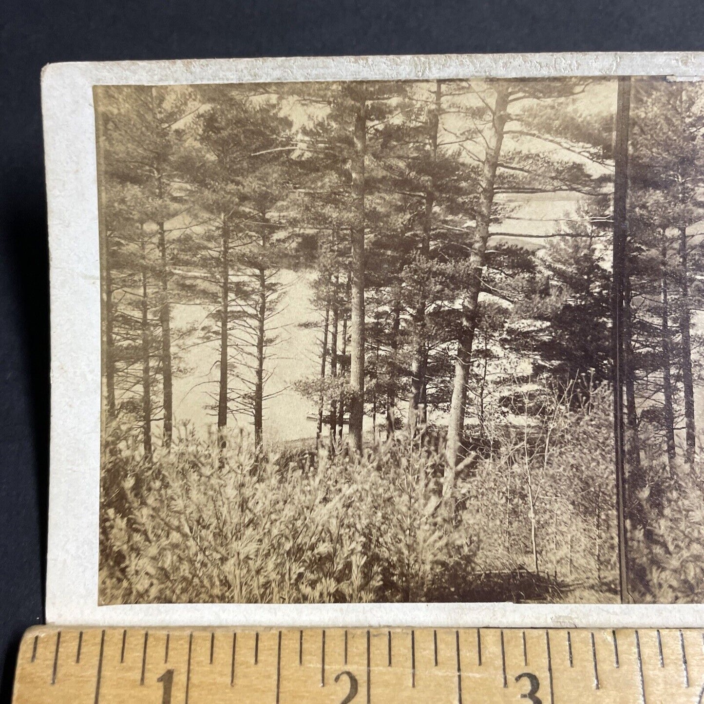 Antique 1870s Roseland Park Woodstock Connecticut Stereoview Photo Card P4794