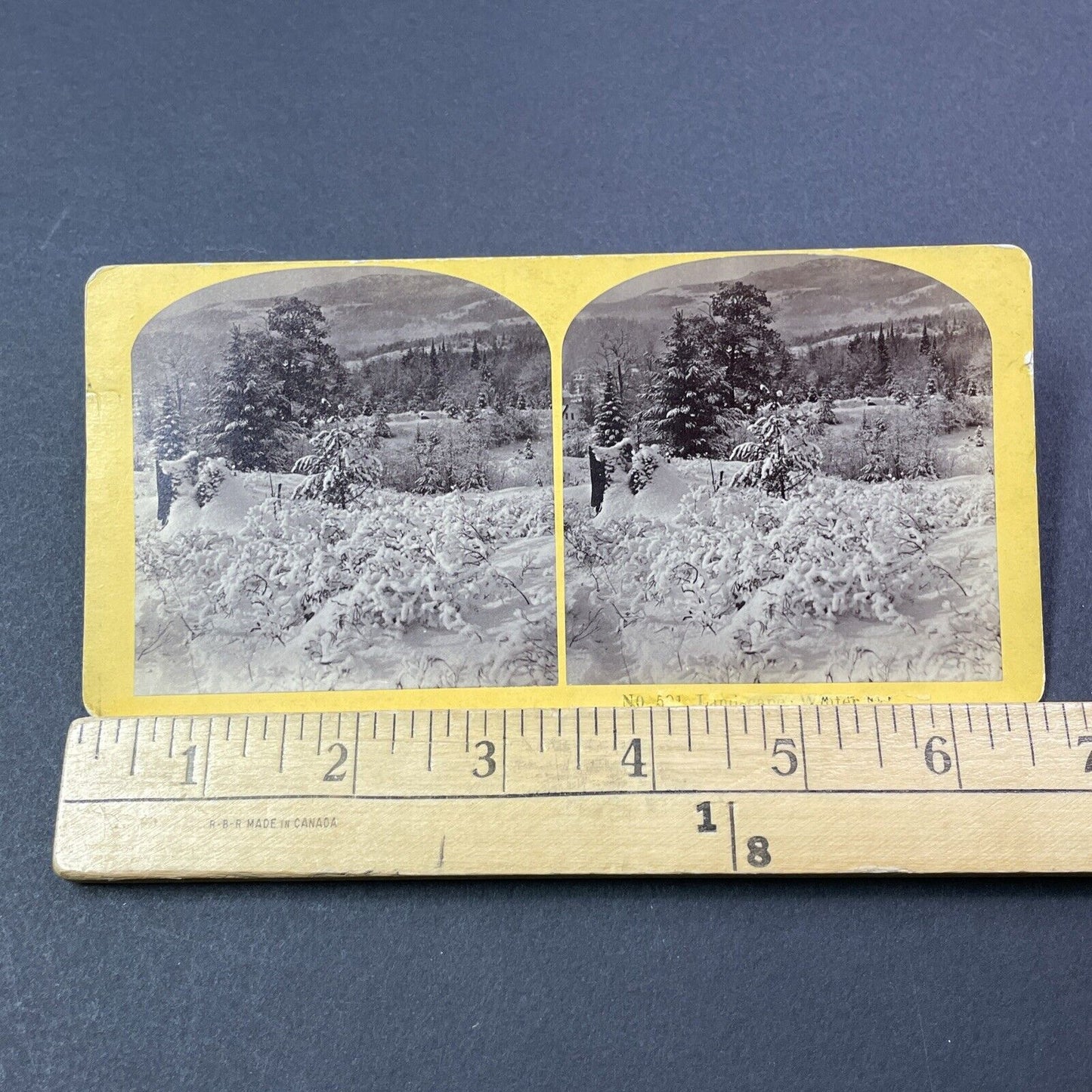 Antique 1874 Great Blizzard Of '74  Near Conway NH Stereoview Photo Card V1767