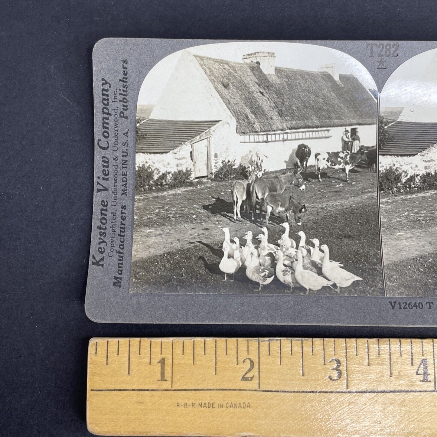 Antique 1901 County Kerry Ireland Farmers Stereoview Photo Card PC773