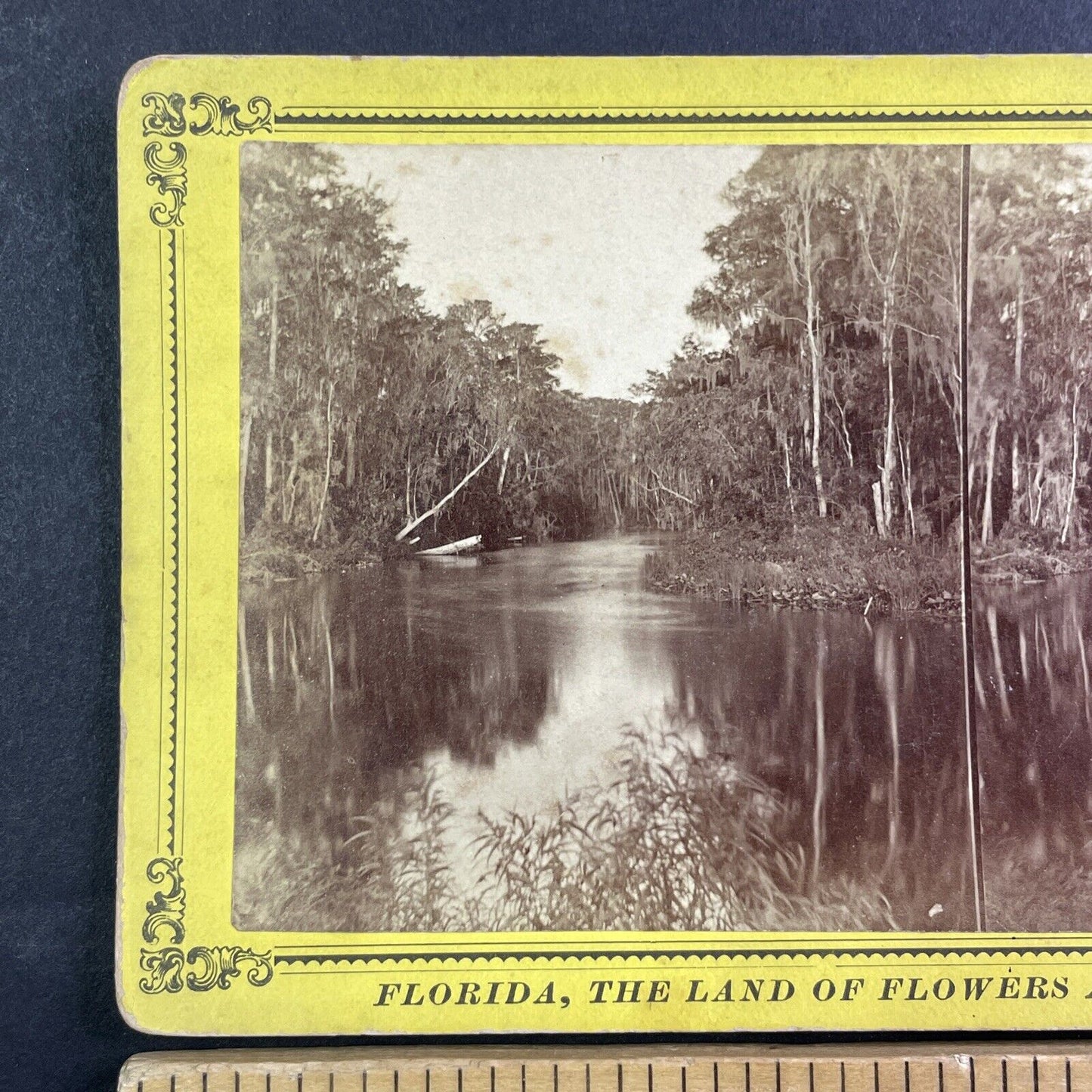 Devils Elbow in East Palatka Florida Stereoview Antique c1885 J.I. Mackey Y089