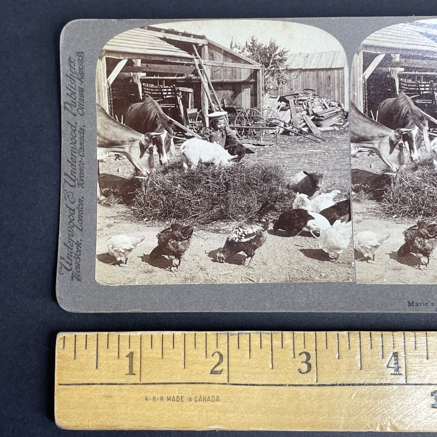 Antique 1902 Typical United States Midwest Farm Stereoview Photo Card PC800