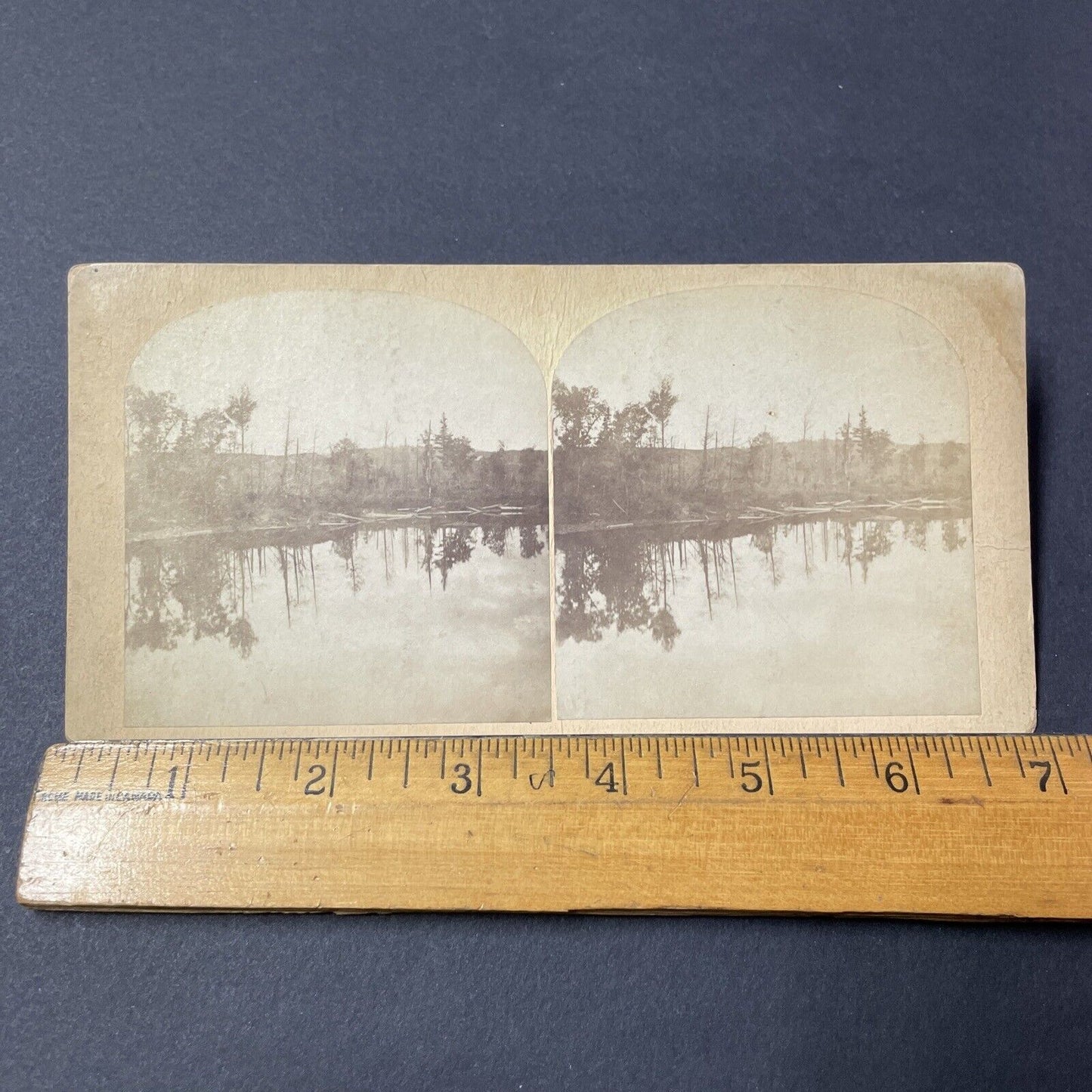 Antique 1903 Lake Placid The Great Forest Fire Of 03 Stereoview Photo Card Q2223