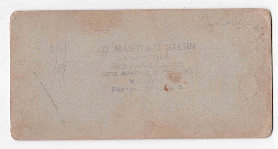 Antique 1870s Château de Saumur Ruins, Maine-Et-Loire, France Photo Card P068