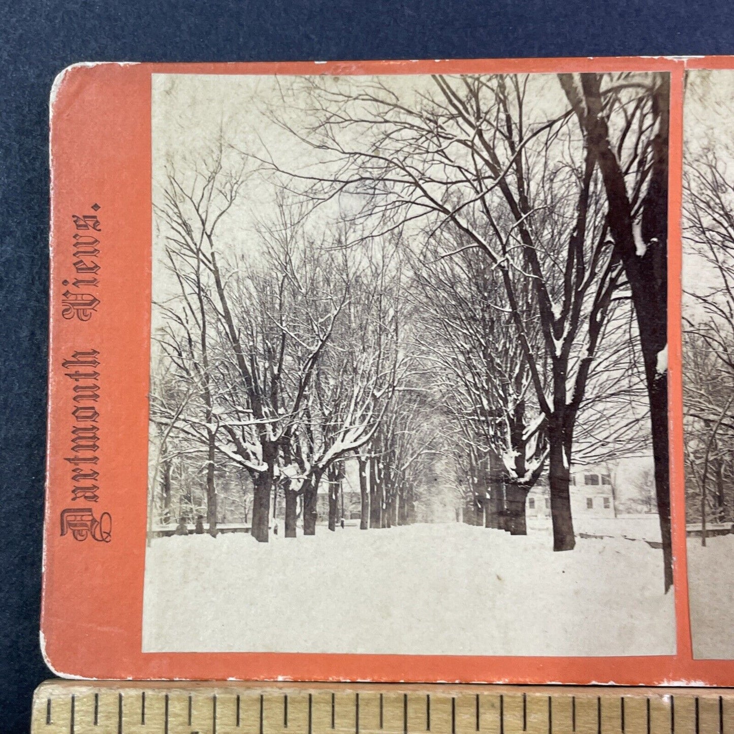 Great Blizzard March 24 1869 Stereoview Hanover NH Photo Card Antique 1869 X941