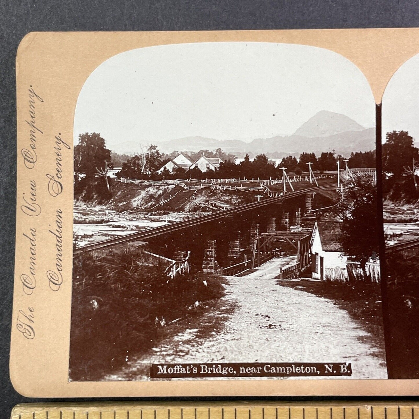 Moffat's Bridge Campbellton New Brunswick Stereoview Antique c1899 Y491