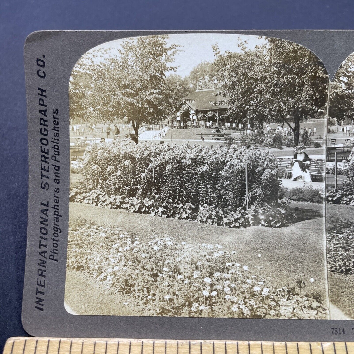 Antique 1905 Valley Gardens Harrogate England Stereoview Photo Card P2652