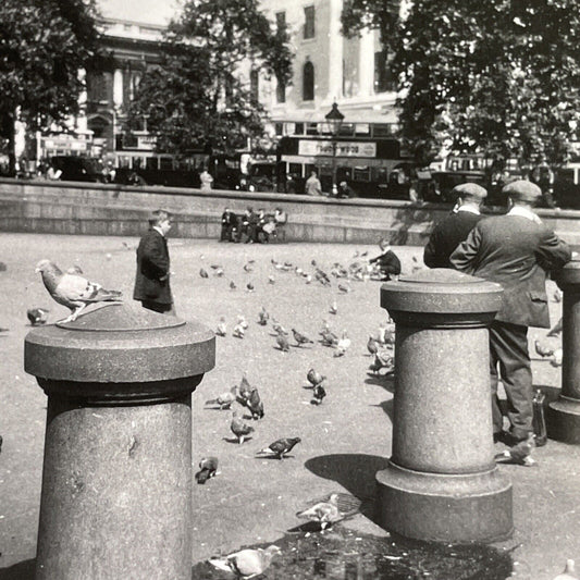 Antique 1934 Trafalgar Square Postcard Stereoview Photo Card P1570