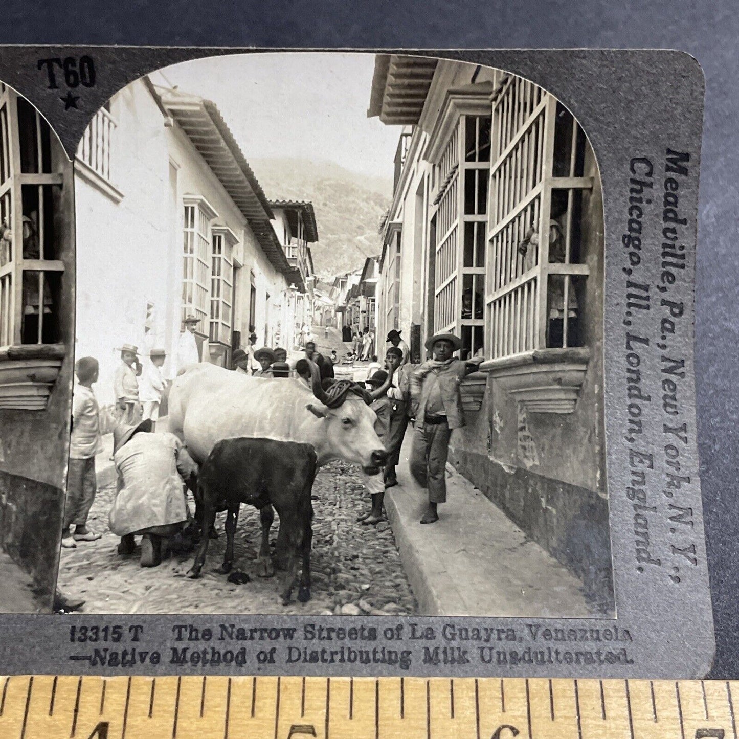 Antique 1910s Milking A Cow In Venezuela City Streets Stereoview Photo Card 5120