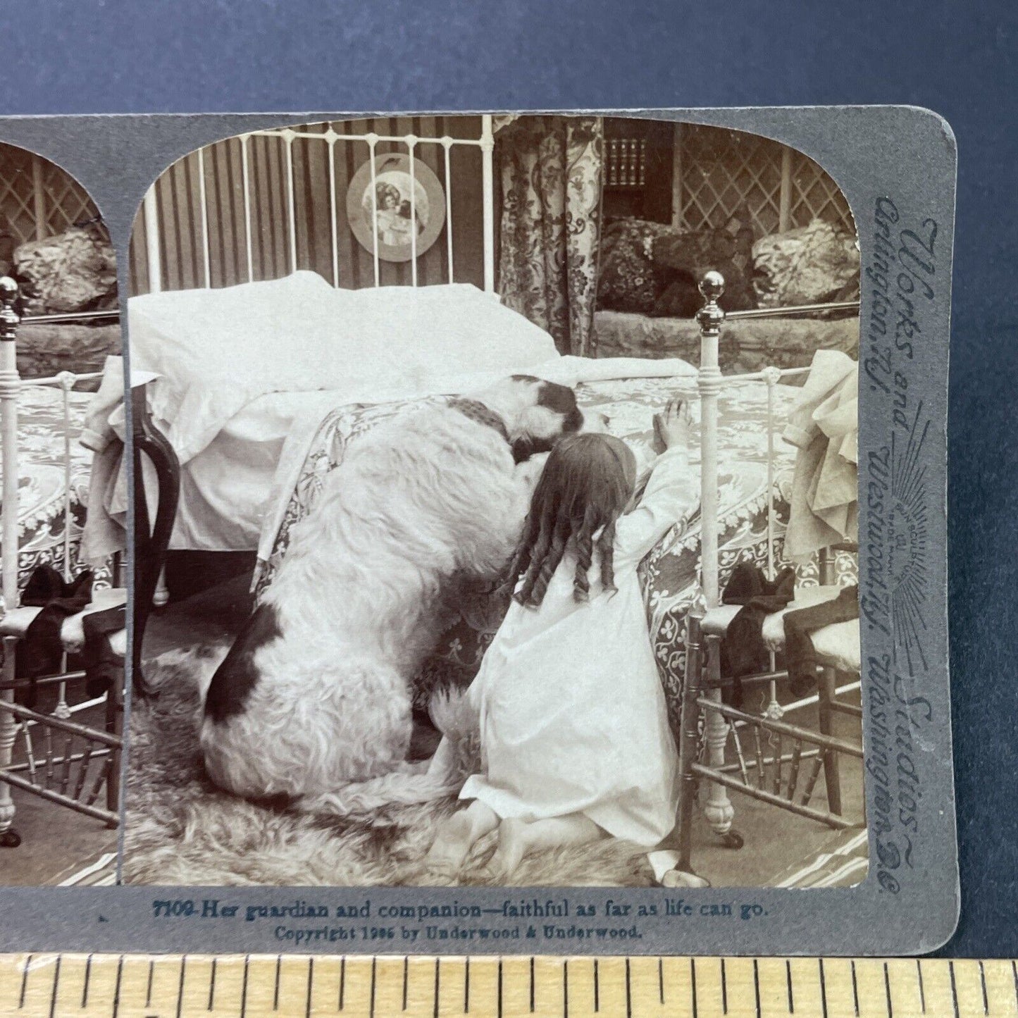 Antique 1905 Child Teaches Dog To Pray Stereoview Photo Card P3114