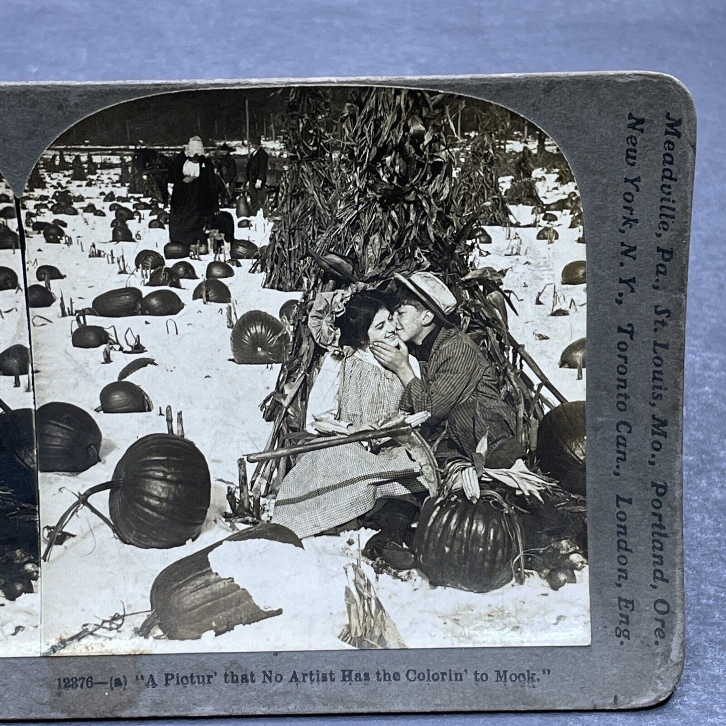 Antique 1906 Young Lovers In A Pumpkin Patch Stereoview Photo Card P580-083