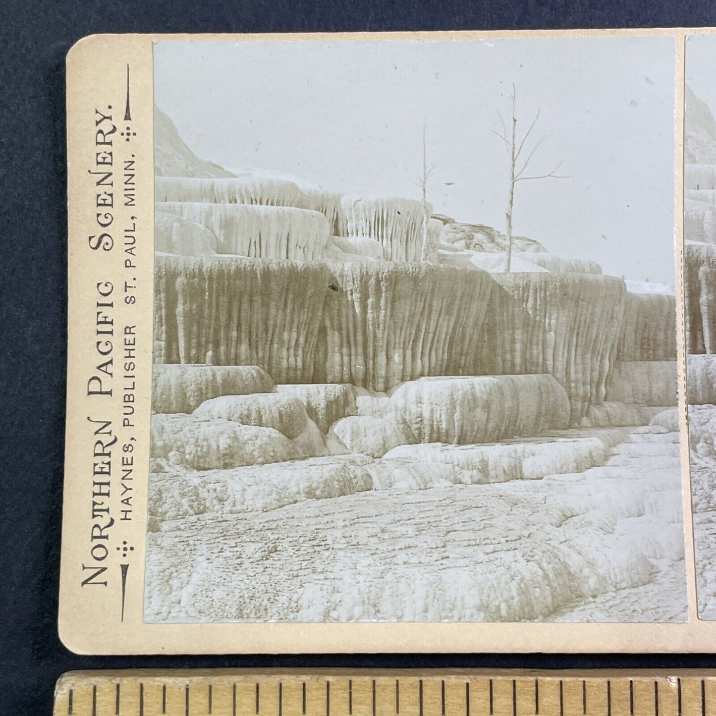 Pulpit Terrace Yellowstone WY Stereoview Frank Jay Haynes Antique c1882 X4081