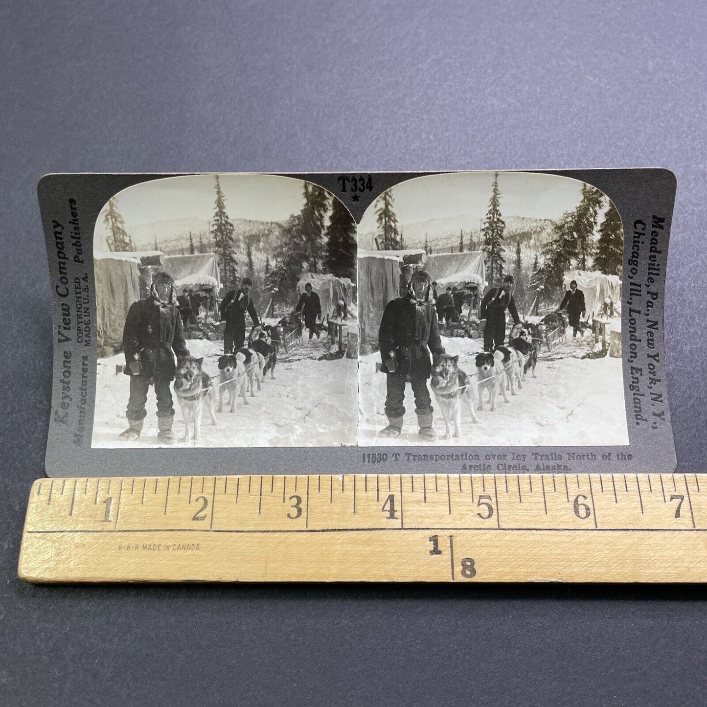 Antique 1909 Dog Sledding Sled In Northern Alaska Stereoview Photo Card V2885