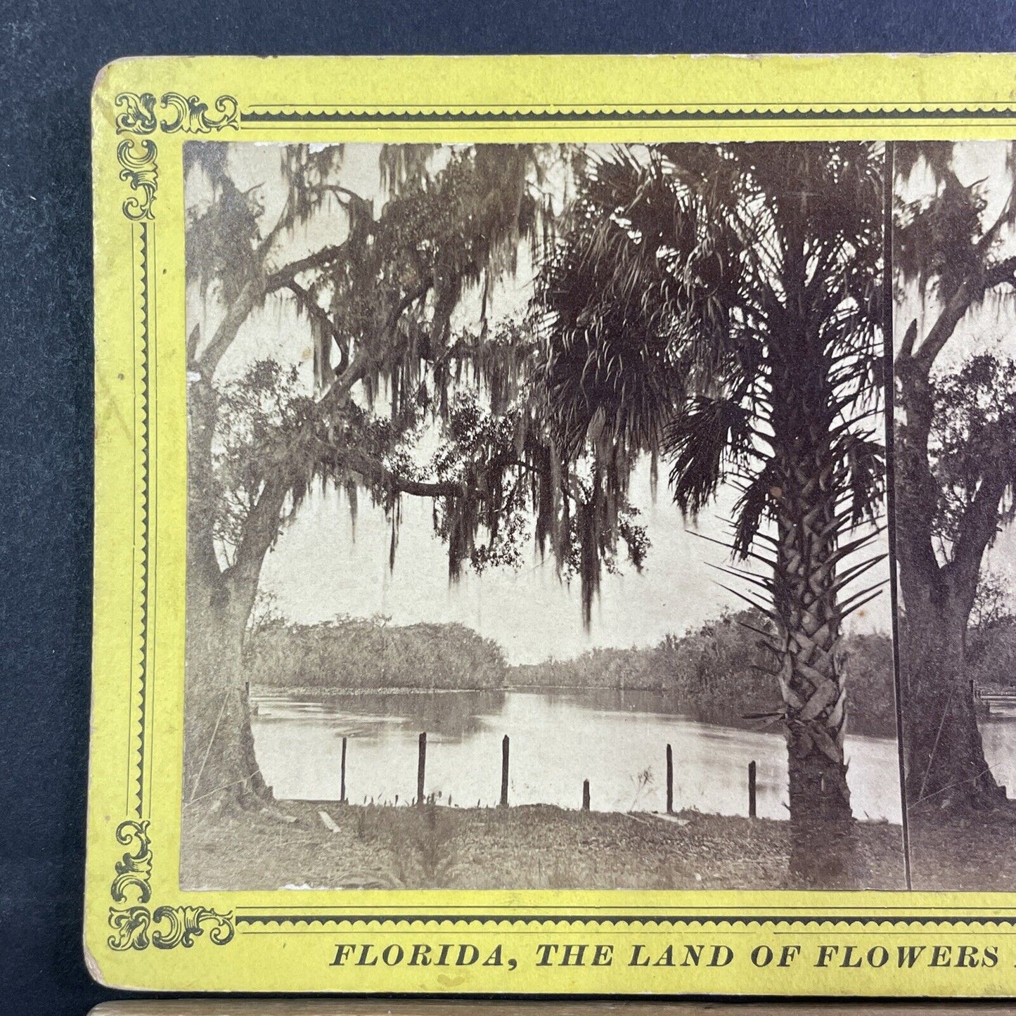 Ocklawaha River Stereoview Welaka Florida Antique c1885 J.I. Mackey Y088