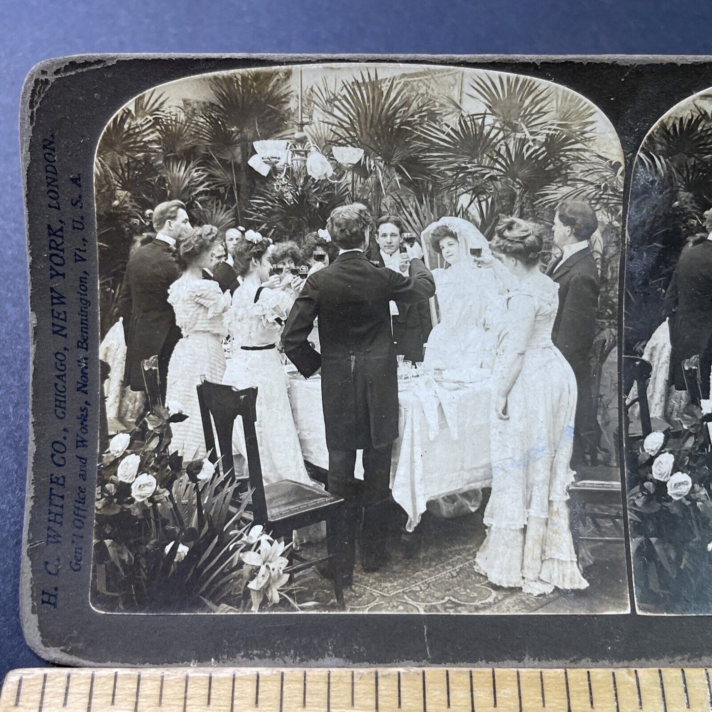 Antique 1902 A Wine Toast At Wedding Dinner Stereoview Photo Card P2888