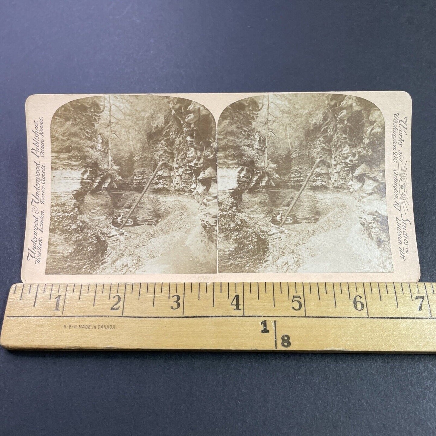 Antique 1890s Fallen Tree In Watkins Glen Gorge NY Stereoview Photo Card P3834