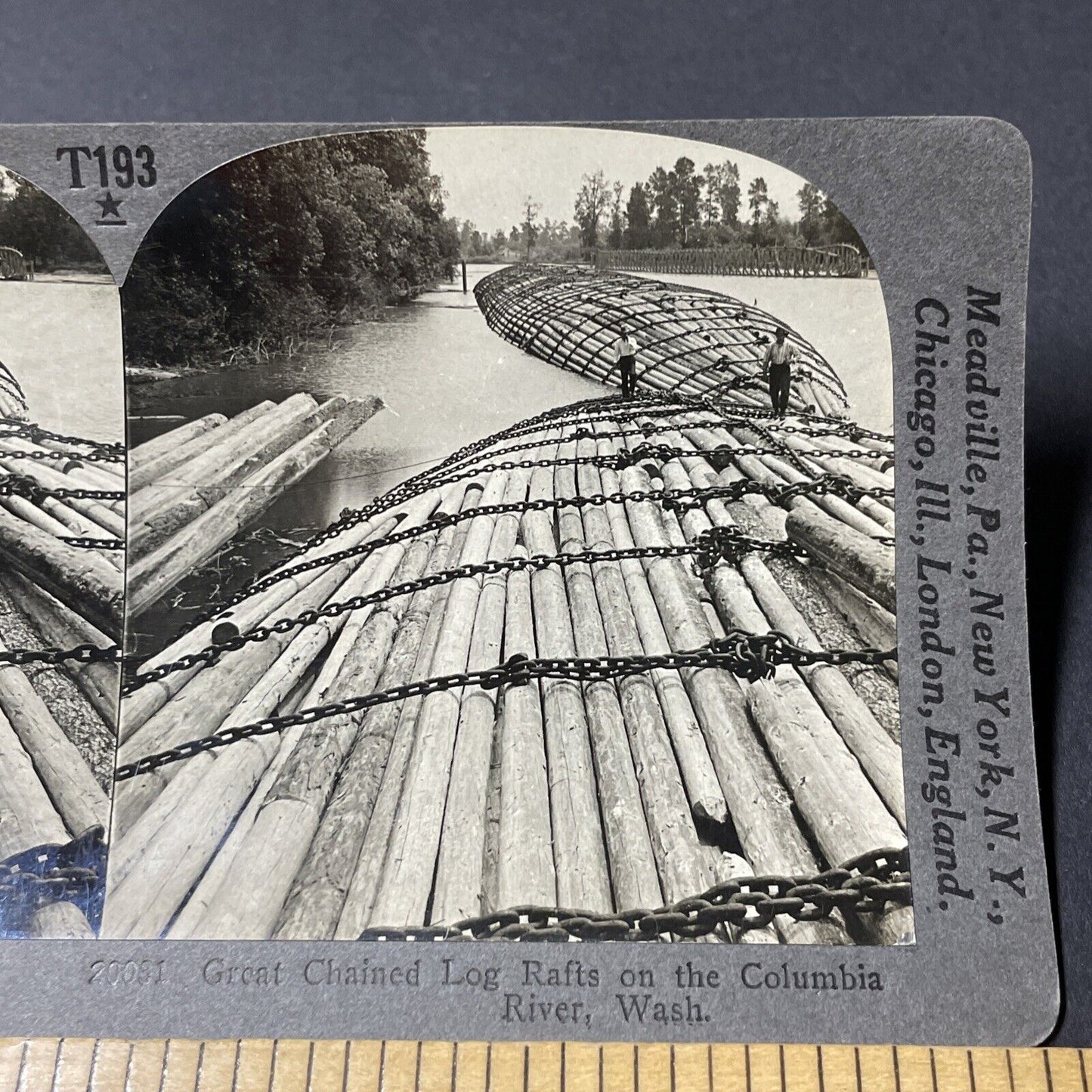 Antique 1910s Log Drivers On Columbia River WA Stereoview Photo Card V1812