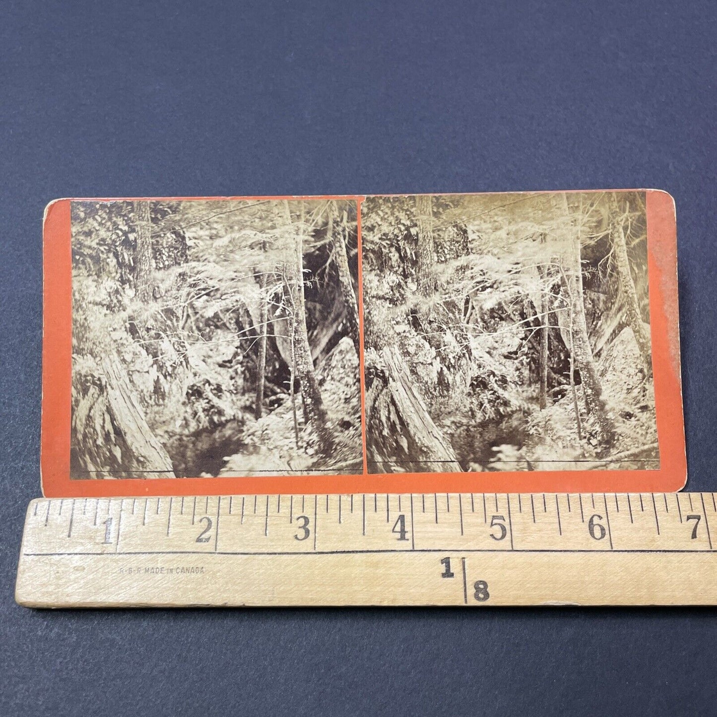 Antique 1850s The Devil's Pulpit Bedford NH Stereoview Photo Card V2141