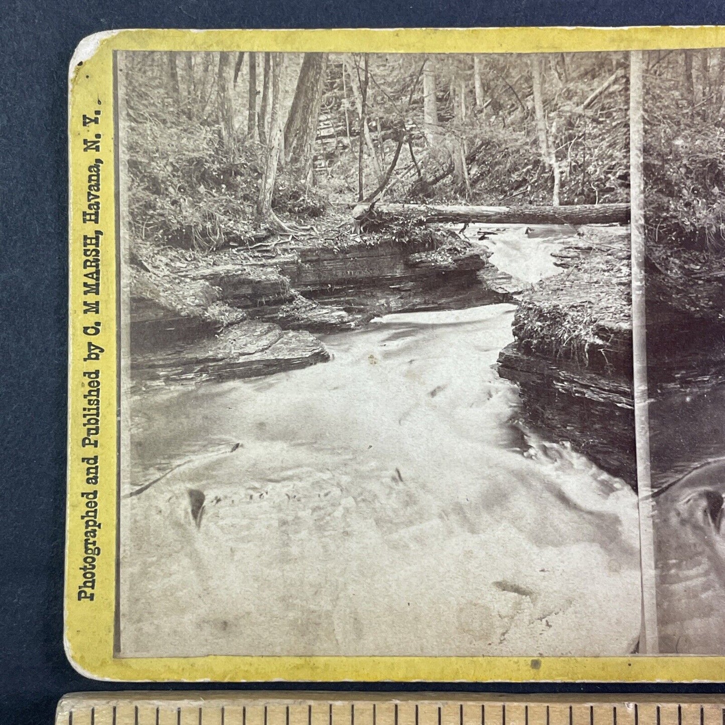 Northern Central Railroad Stereoview Forest Grotto Watkins Glen c1870s Y2175