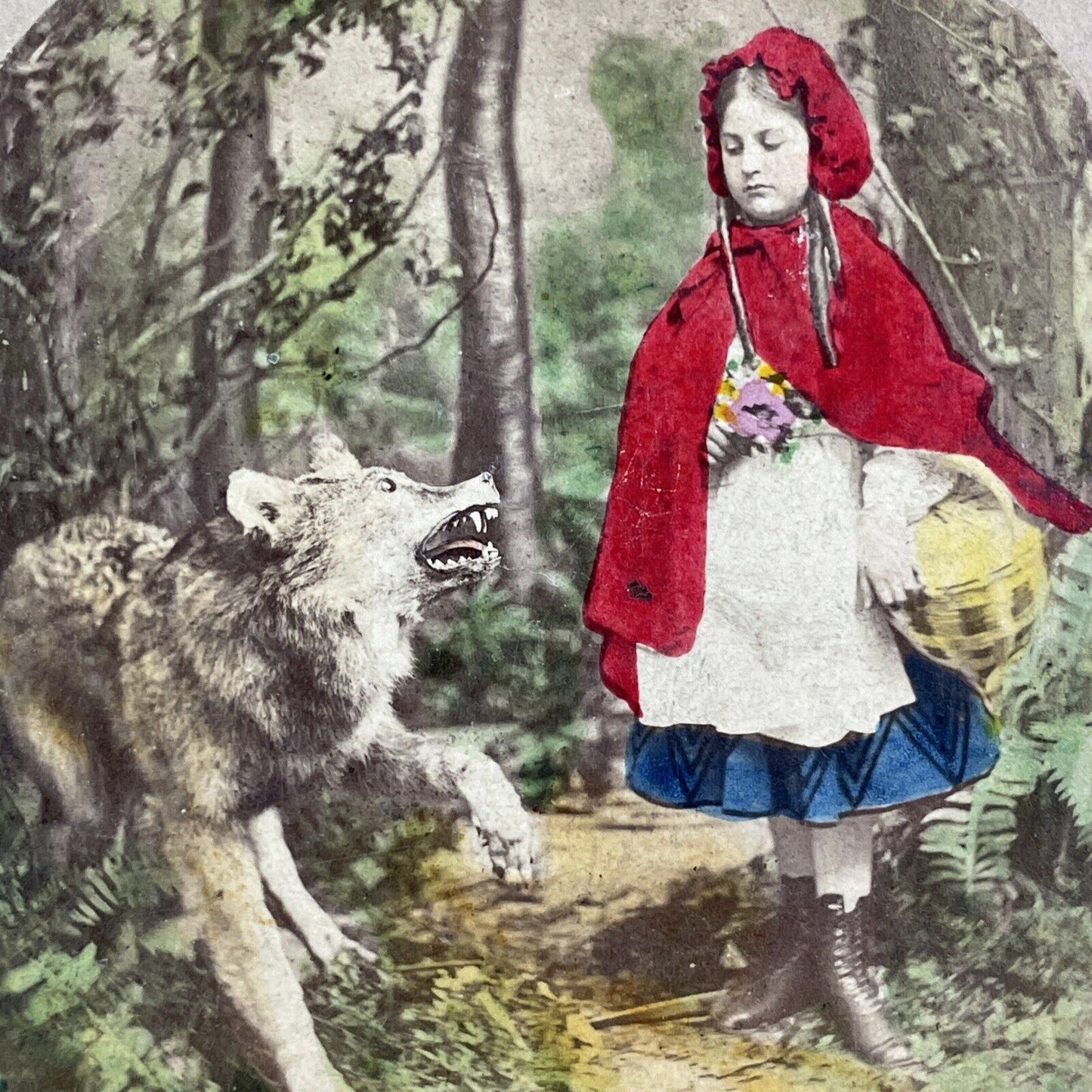 Little Red Riding Hood Stereoview Attributed To James Robinson c1859 Y1212