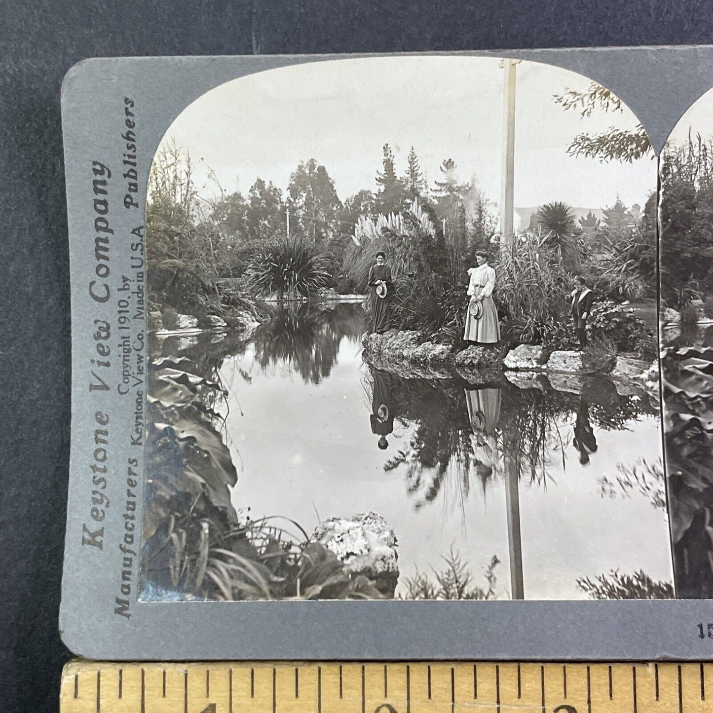 Rotorua North Island New Zealand Stereoview Public Gardens Antique c1911 X3538