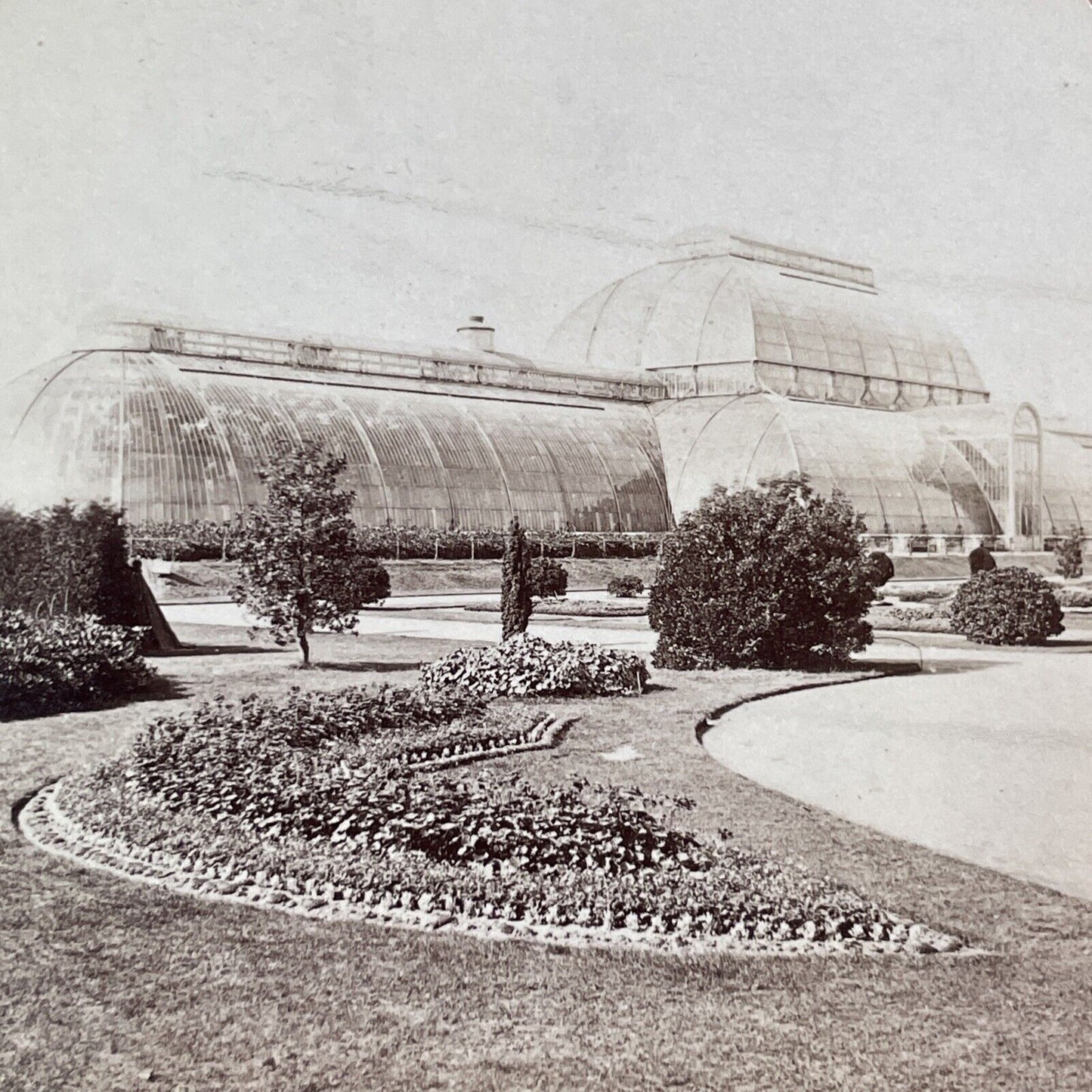 The Palm House Kew Botanic Gardens Stereoview London England c1880 Y432