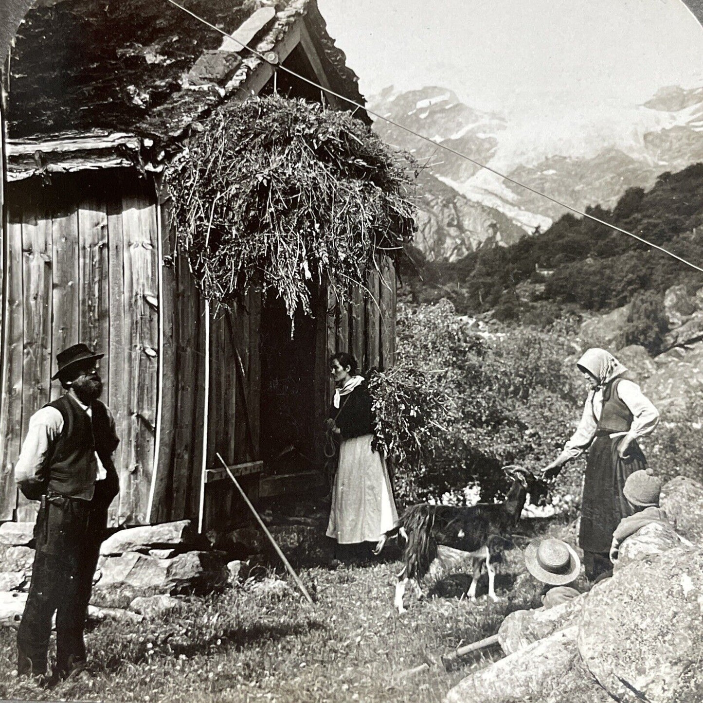 Antique 1903 A Mountain Zip Line Zipline Norway Stereoview Photo Card P5107