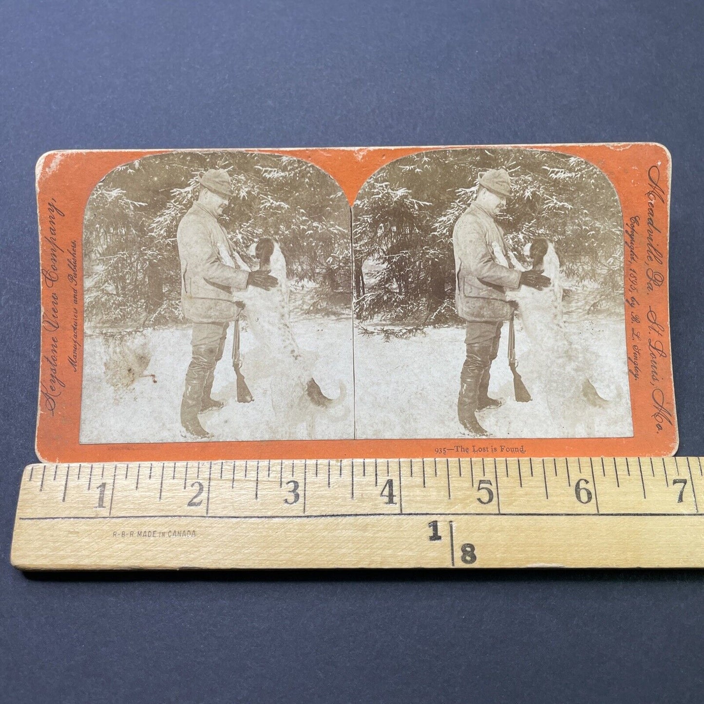 Antique 1895 A Man Pets His Hunting Dog Stereoview Photo Card P2719