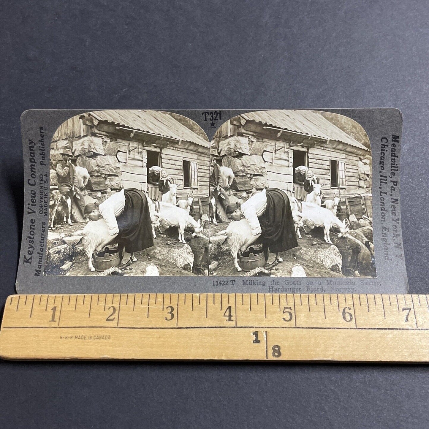 Antique 1910s Woman Milking A Goat In Northern Norway Stereoview Photo Card 5108