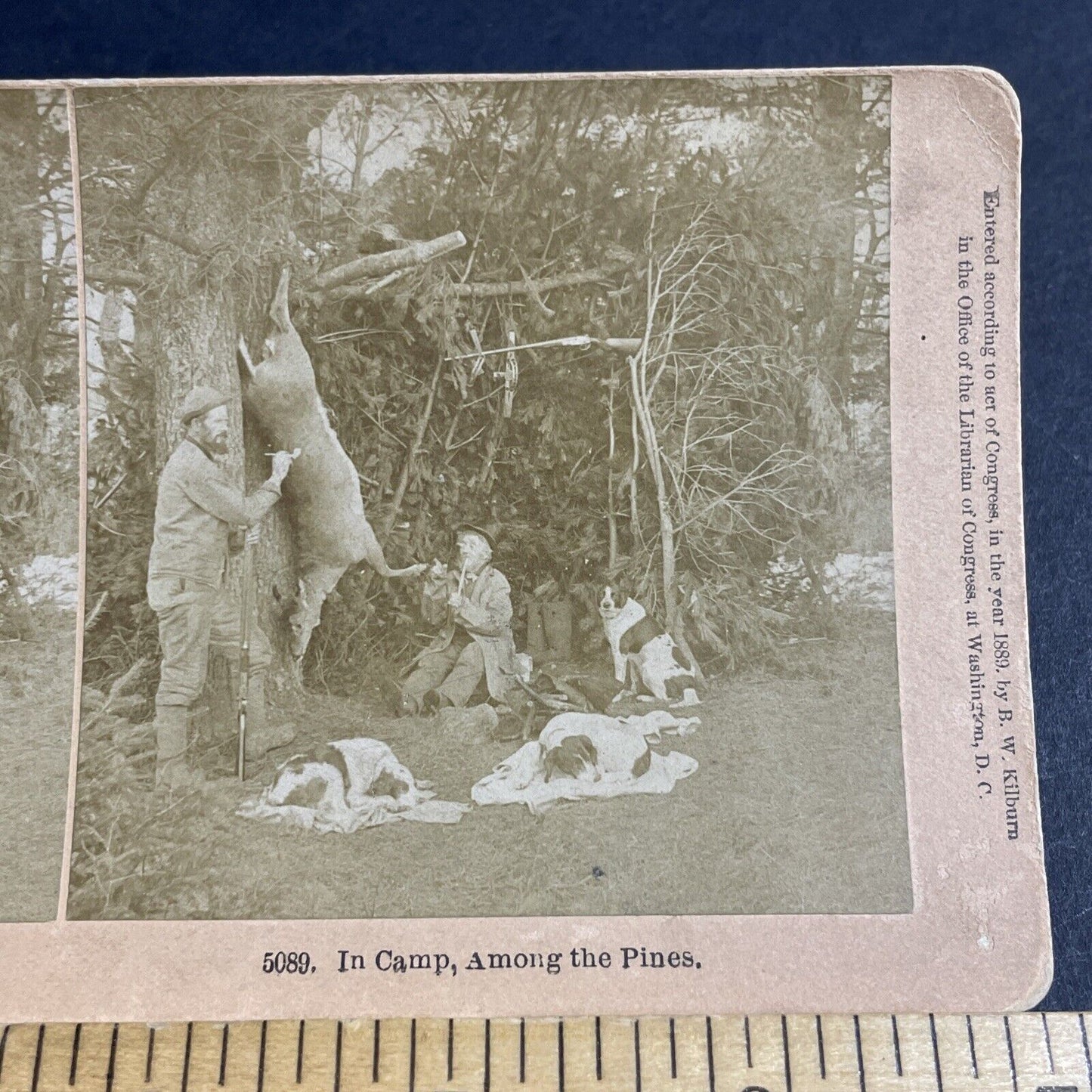 Antique 1889 Benjamin Kilburn Shoots A Deer Stereoview Photo Card P4707