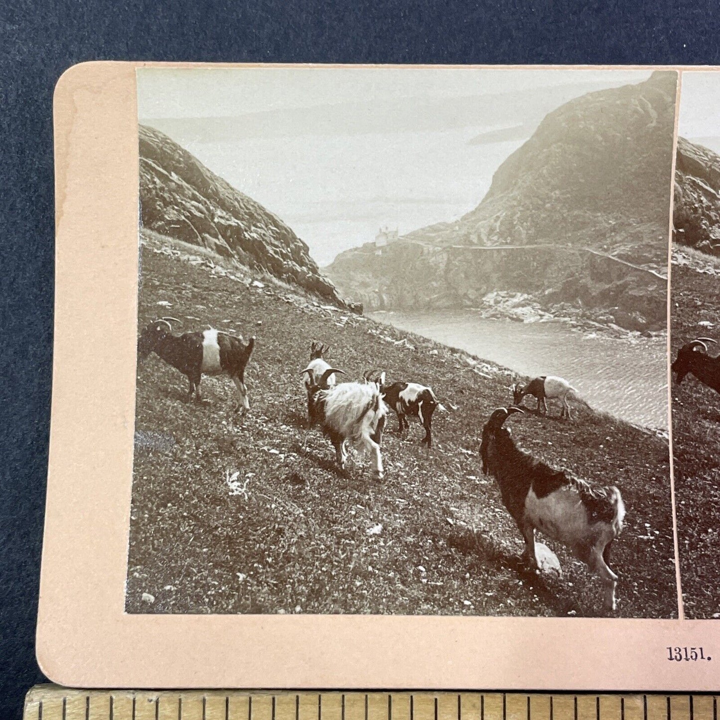 Fort Amherst Lighthouse Stereoview St. John's Newfoundland Antique c1899 X2762