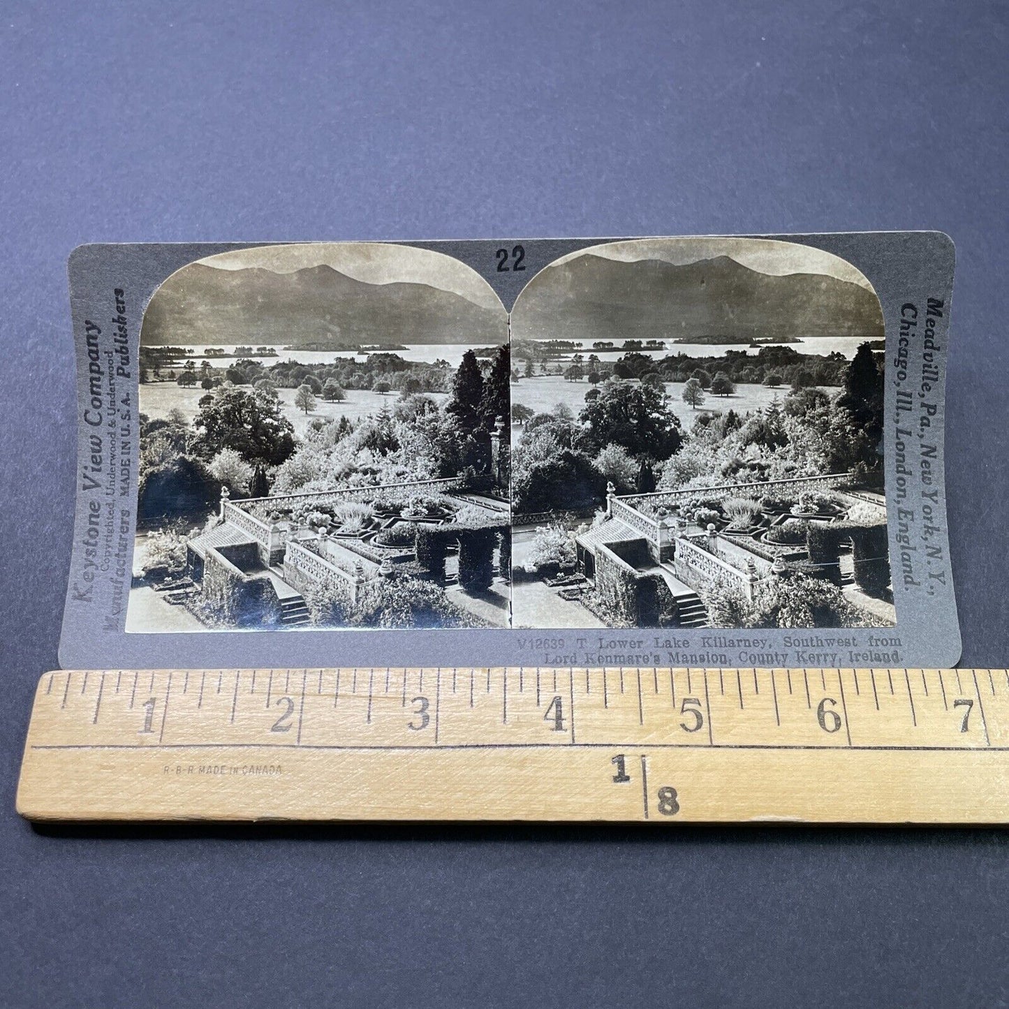 Antique 1910s Killarney Ireland Kenmare Estate Stereoview Photo Card P2815