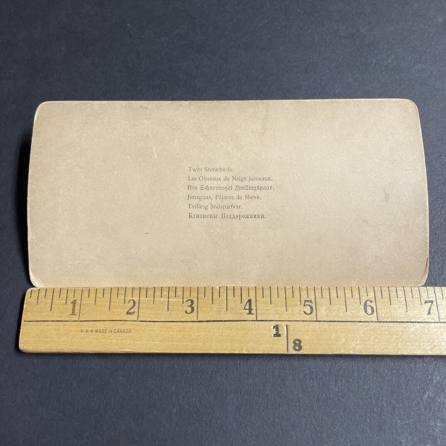 Antique 1893 Two Twins In Snow Snowstorm Stereoview Photo Card P4261