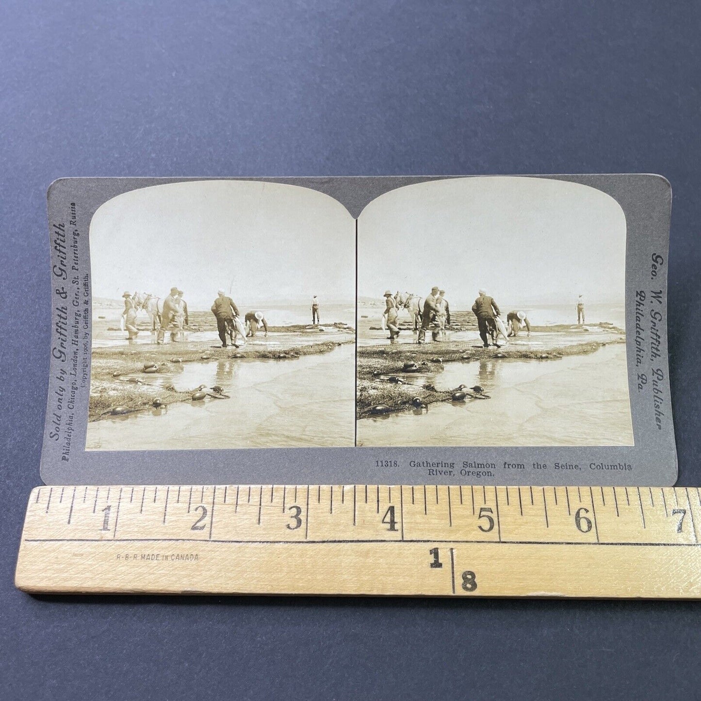 Antique 1906 Salmon Fishing Columbia River Oregon Stereoview Photo Card P3068