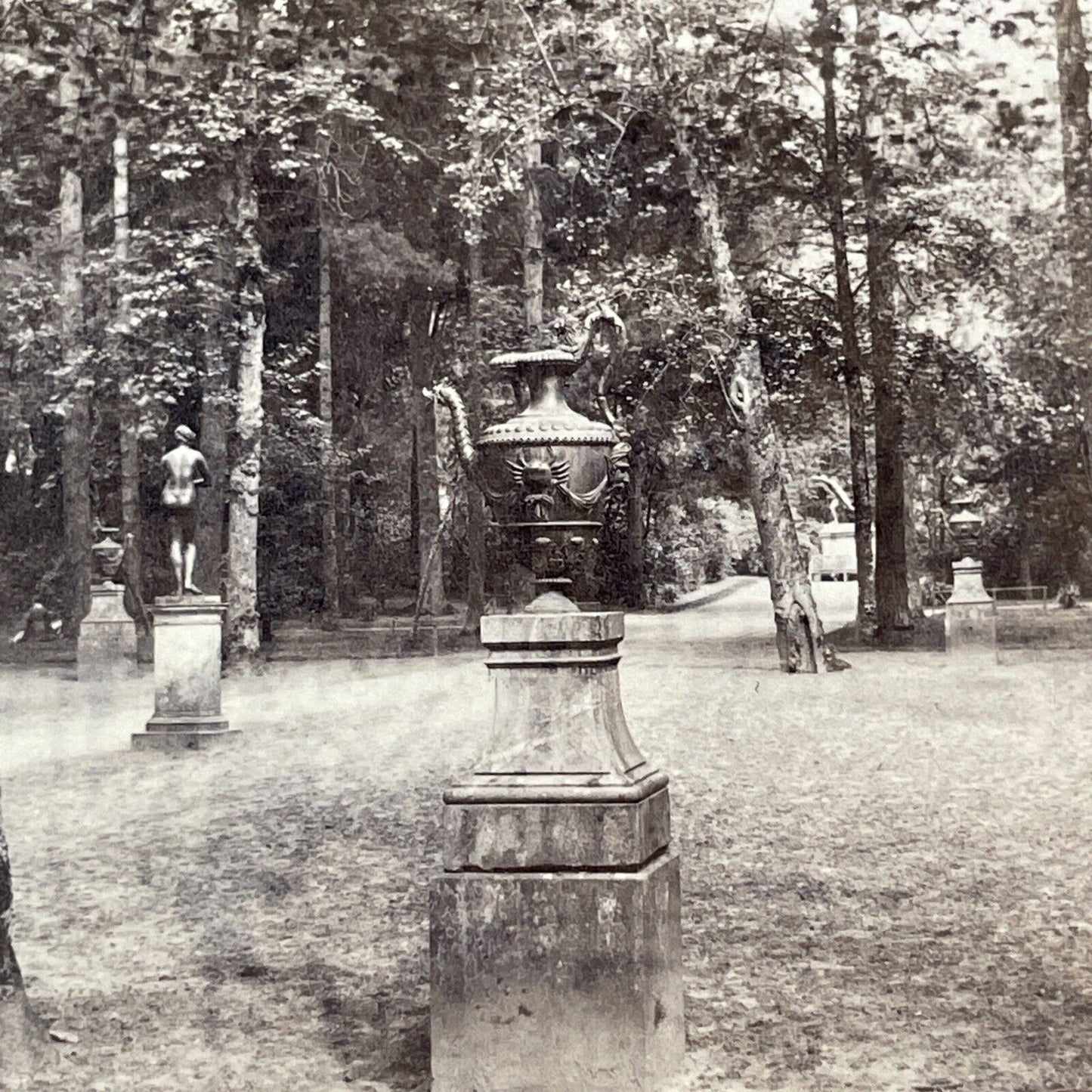 The Queen's Grove Palace Of Versailles Stereoview France Antique c1870- X3553