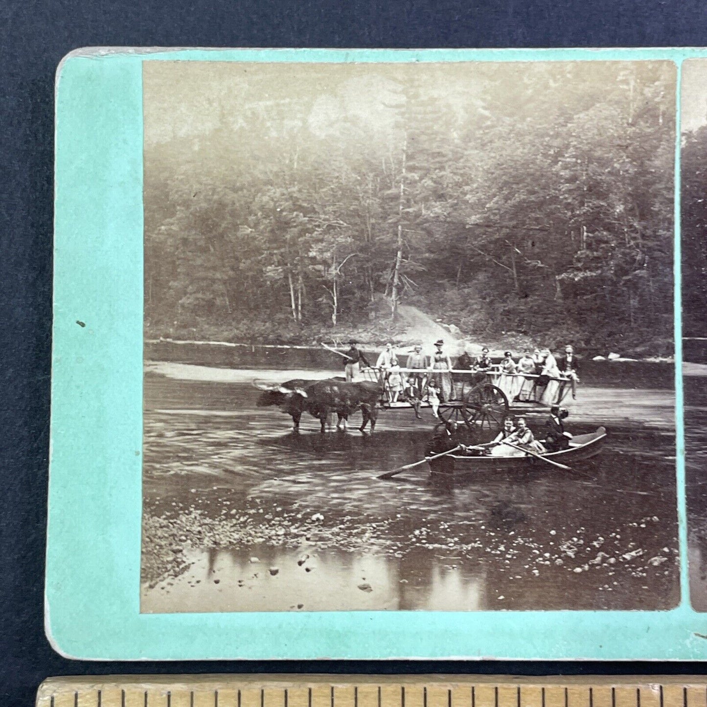 Ox Driven Ferry Campton New Hampshire Stereoview E.J. Young c1870s Y884