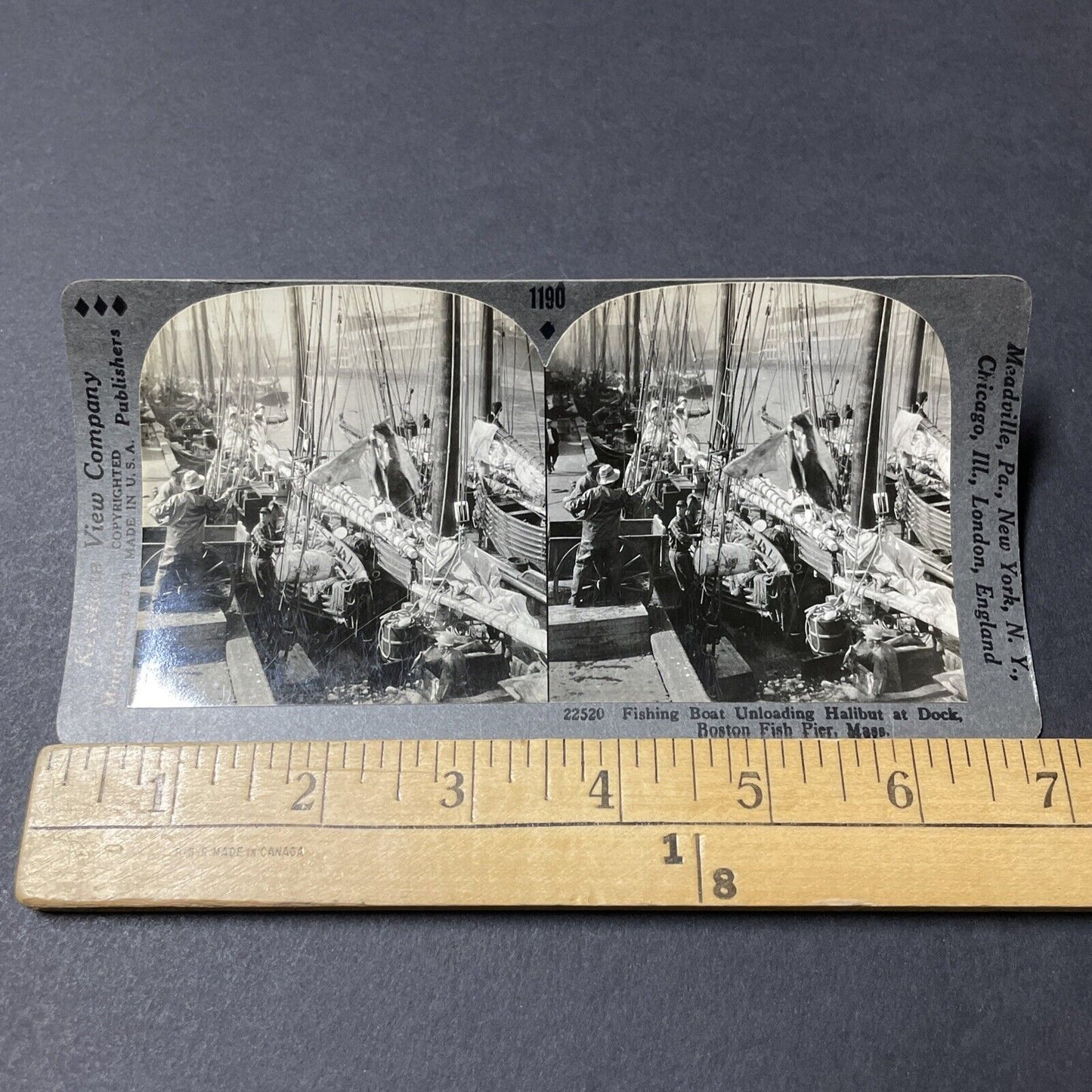 Antique 1920s Halibut Fishermen In Boston MA Stereoview Photo Card V2636